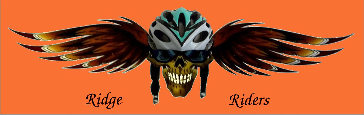 rr winged skull logo