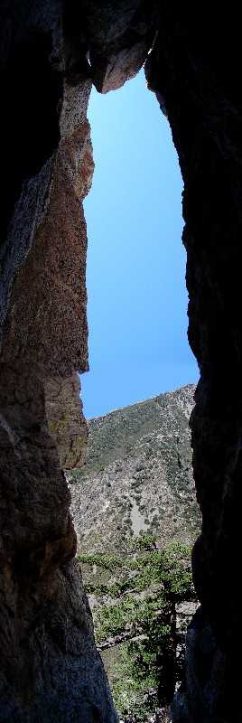 looking out of the chimney