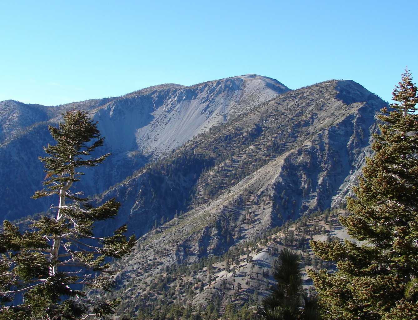 Mt Baldy from Notch
